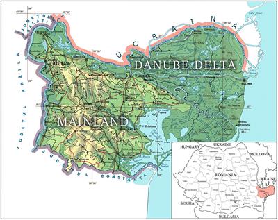 Enzootic Bovine Leukosis: Surveillance Measures and Control Program in the Northern Dobruja Area of Romania Between 2017 and 2020